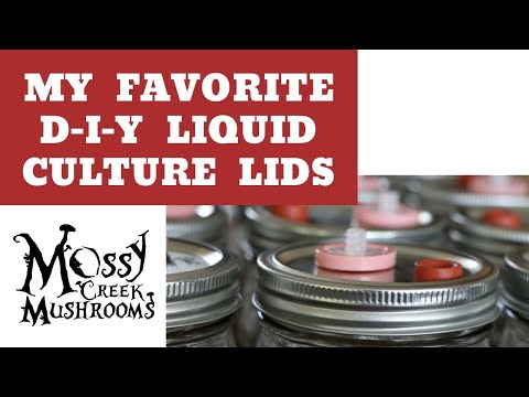 Check out this Easy DIY Liquid Culture Lid! Save Time, Money &amp; Your Sanity!