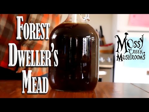 Forest Dweller&#039;s Mead -Mossy Creek Mushrooms reishi, turkey tail, oyster, Chaga recipe included!