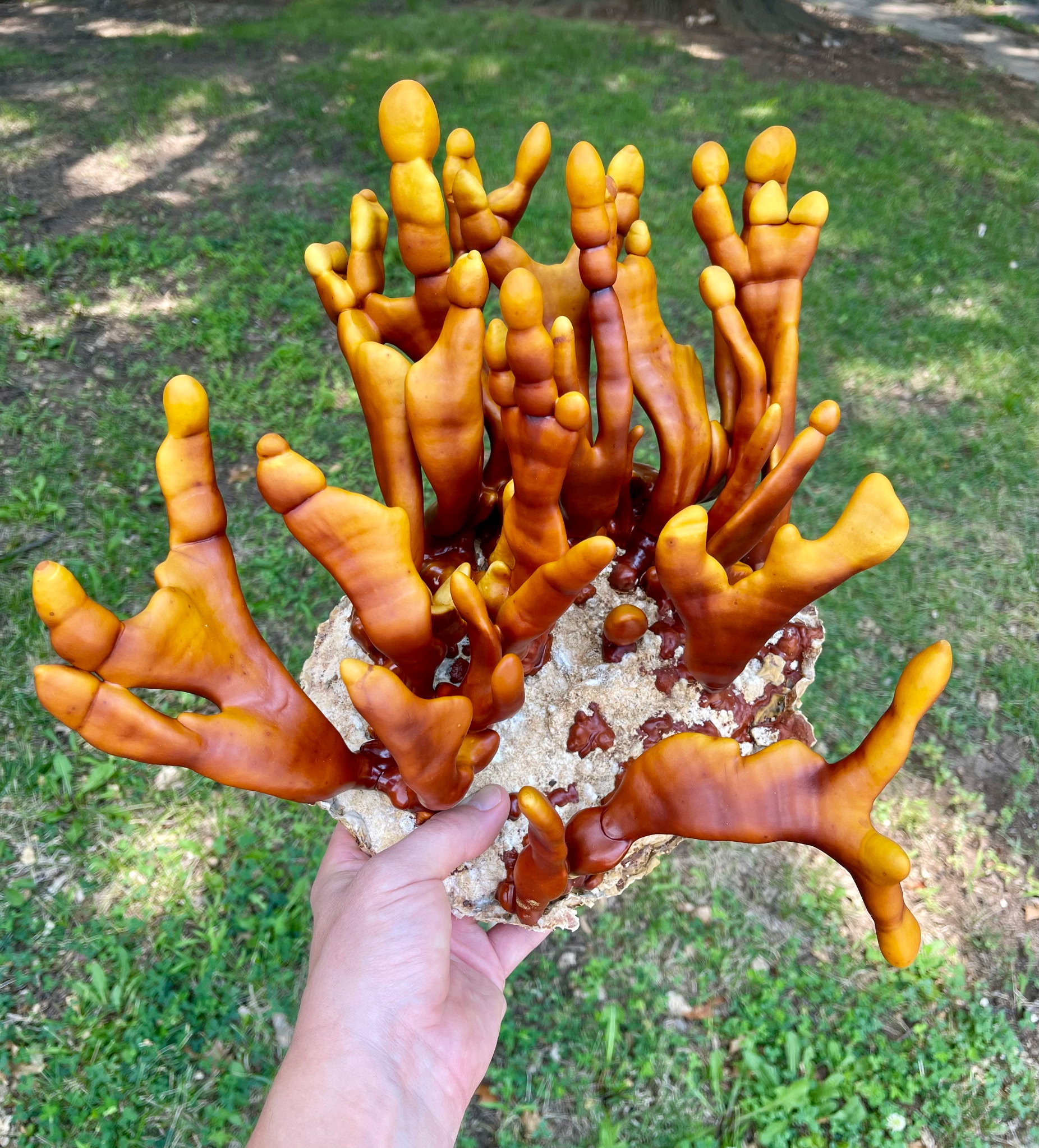 Golden Antler Reishi (RDTN2)
