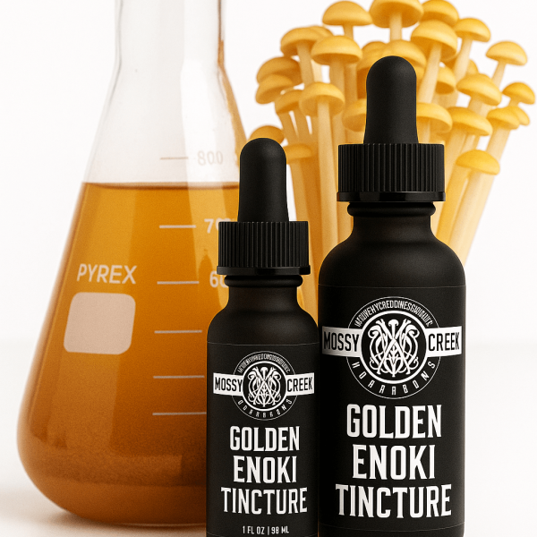 Golden Enoki Extract (1)