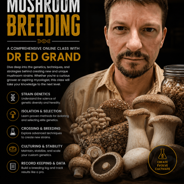 mushroom breeding with dr ed grand take 2 (1)